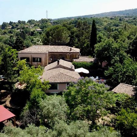 بيديمونتي إتنيو Bed And Breakfast Il Glicine المظهر الخارجي الصورة