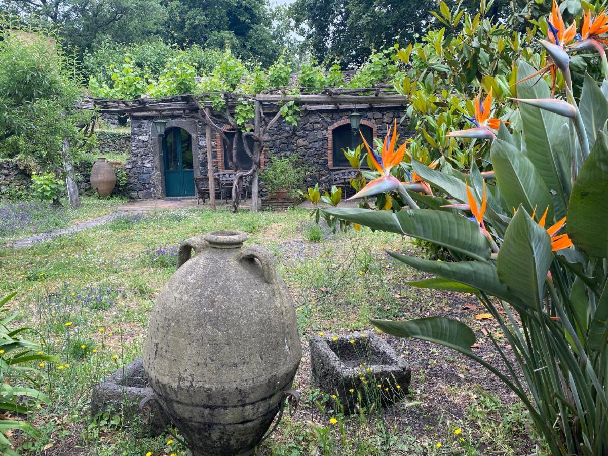 بيديمونتي إتنيو Bed And Breakfast Il Glicine المظهر الخارجي الصورة